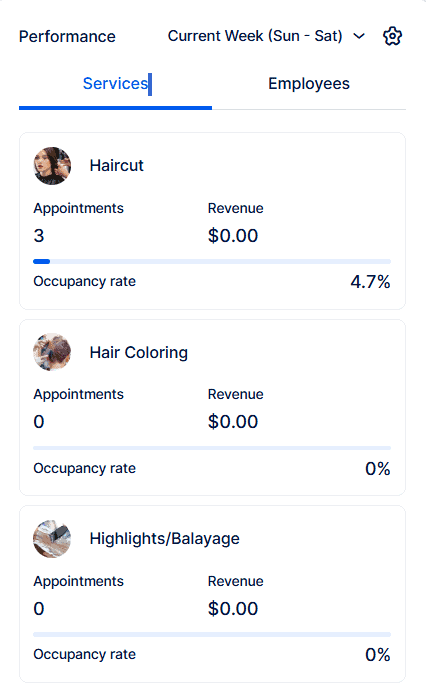 Dashboard showing performance metrics for Haircut, Hair Coloring, and Highlights/Balayage services, including appointments, revenue ($0.00), and occupancy rates for the current week.